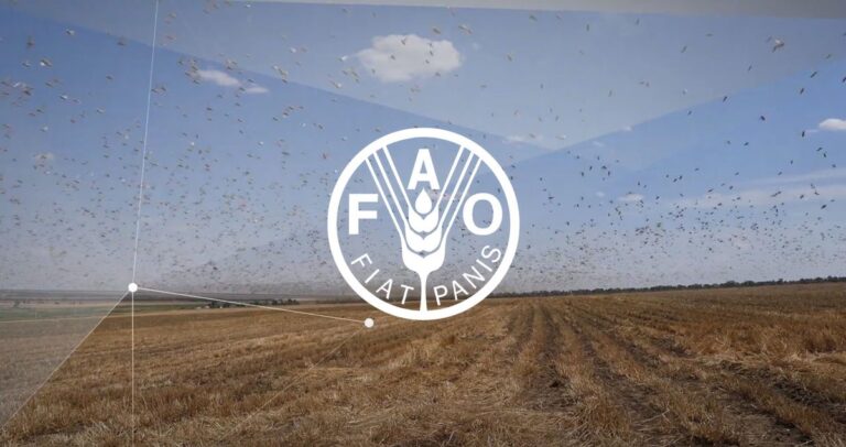 FAO